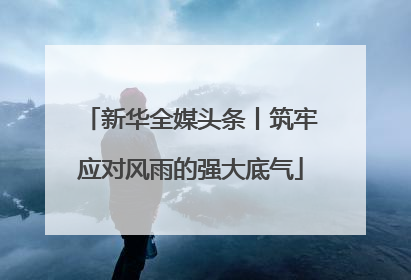 新华全媒头条丨筑牢应对风雨的强大底气